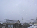 angee110402.jpg