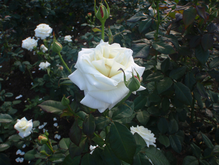 angie_0910_08.jpg